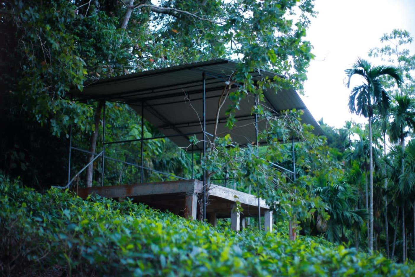 Rainforest Lodge, Deniyaya Singheraja Kültér fotó