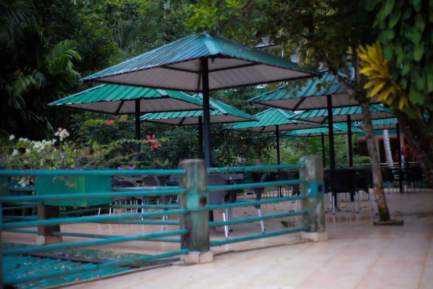 Rainforest Lodge, Deniyaya Singheraja Kültér fotó