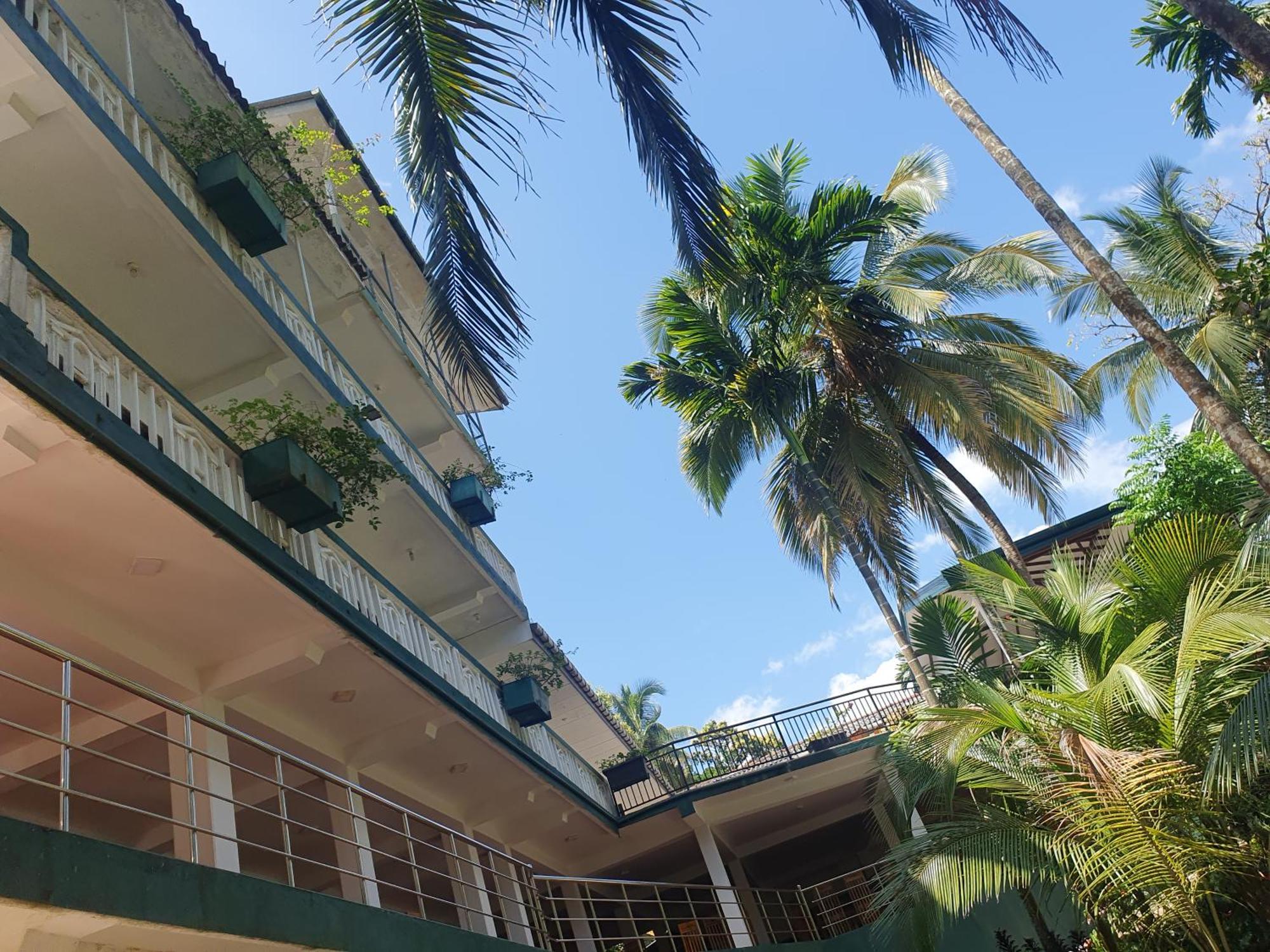 Rainforest Lodge, Deniyaya Singheraja Kültér fotó