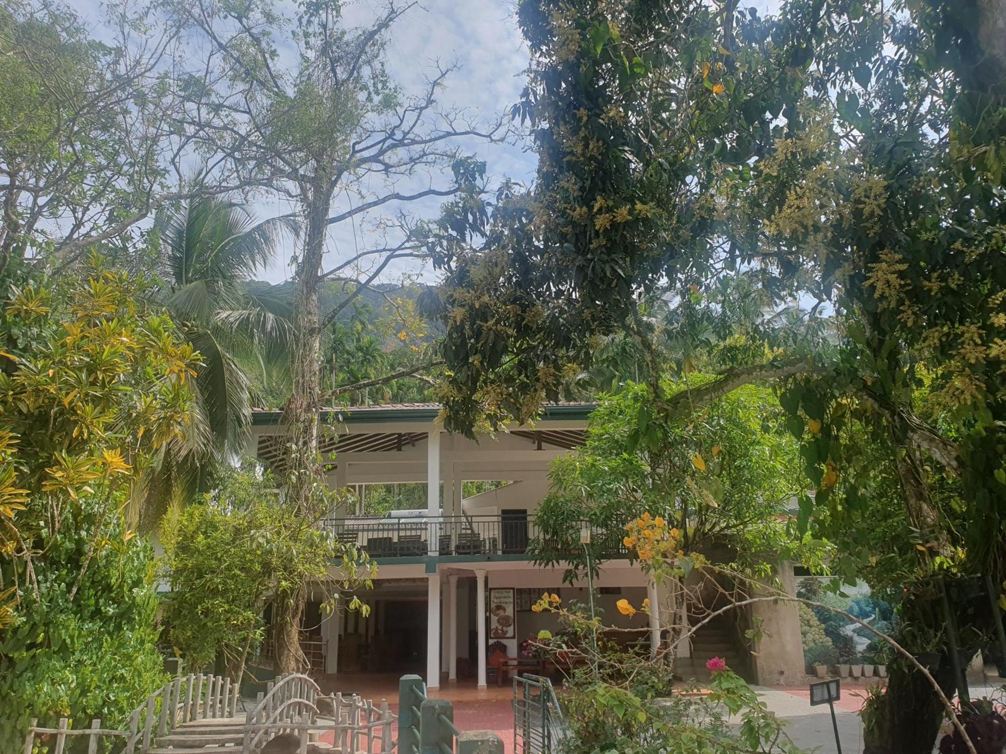 Rainforest Lodge, Deniyaya Singheraja Kültér fotó