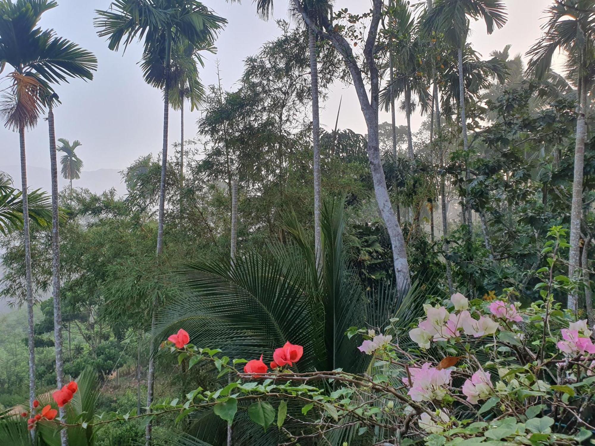 Rainforest Lodge, Deniyaya Singheraja Kültér fotó