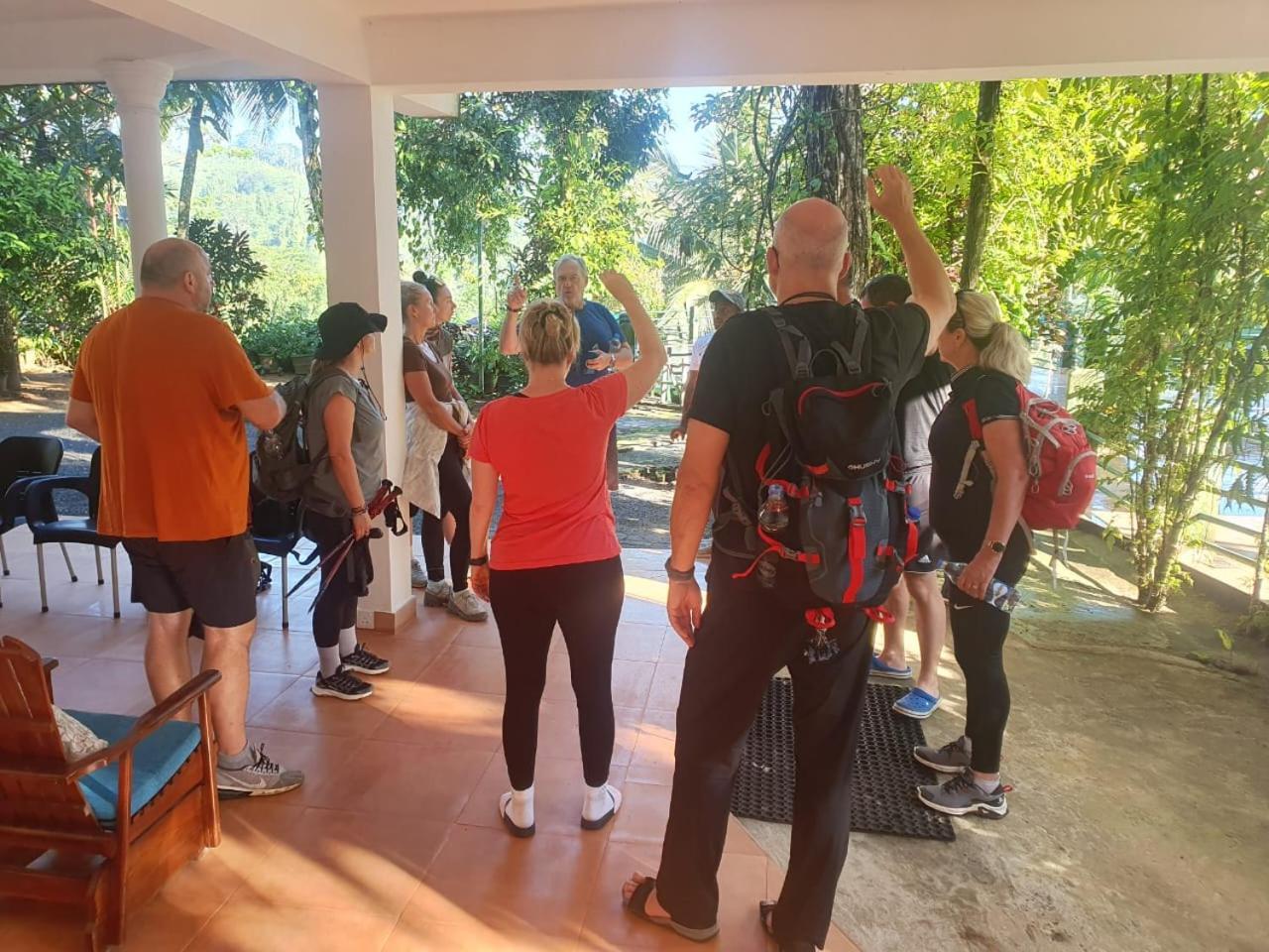 Rainforest Lodge, Deniyaya Singheraja Kültér fotó