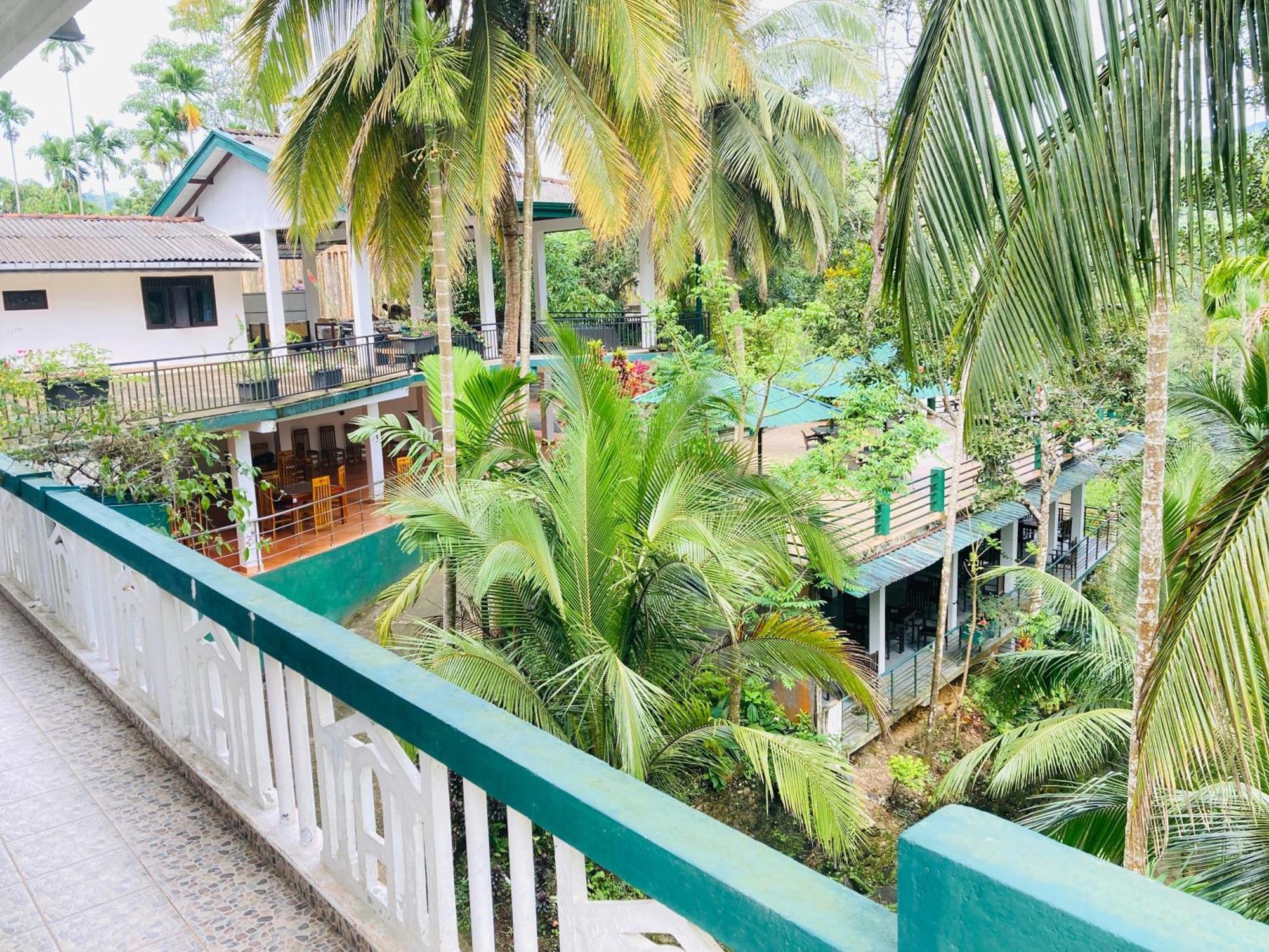 Rainforest Lodge, Deniyaya Singheraja Kültér fotó