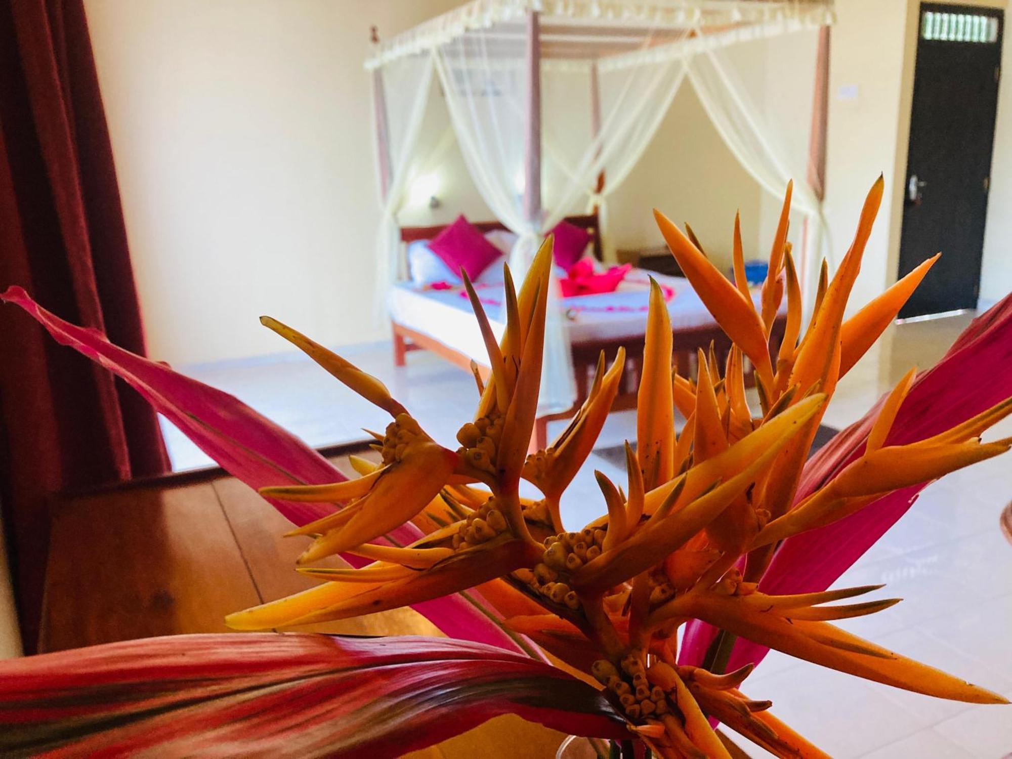 Rainforest Lodge, Deniyaya Singheraja Kültér fotó