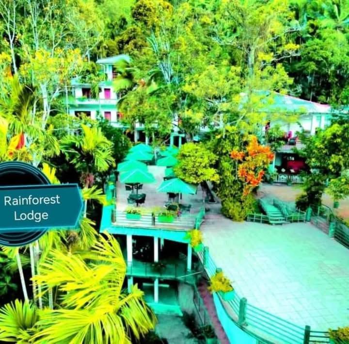 Rainforest Lodge, Deniyaya Singheraja Kültér fotó